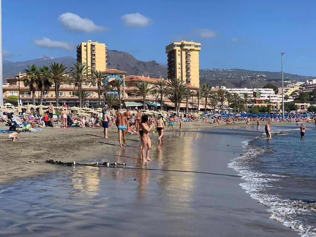 Apartment Cozy 2-Bed & Sofa-Bed Studio In Los Cristianos Los Cristianos